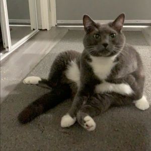 Meet your Posher, Tylar